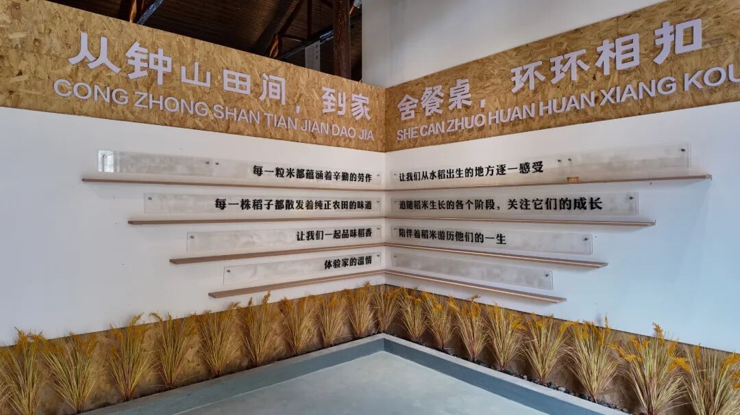 10zs:稻米文化展陈区域.JPG