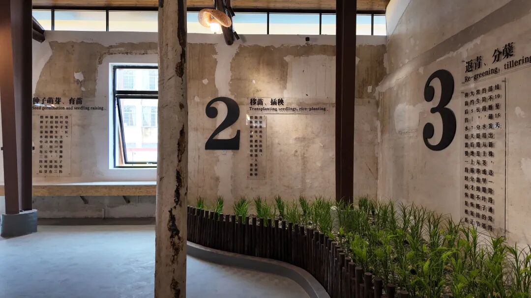 10zs:稻米文化展陈区域 (2).JPG